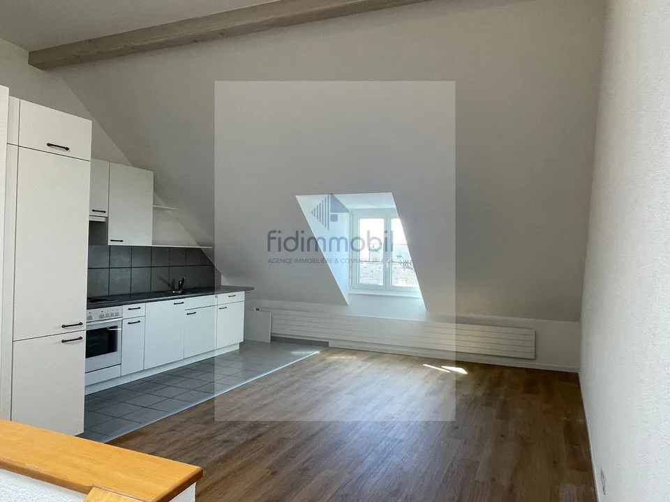 Schönes helles Apartment mit offener Küche im Herzen von Neuchâtel