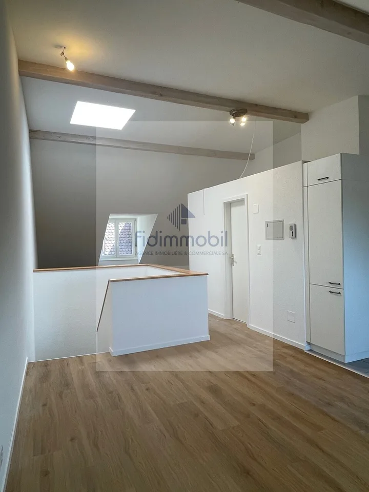 Schönes helles Apartment mit offener Küche im Herzen von Neuchâtel