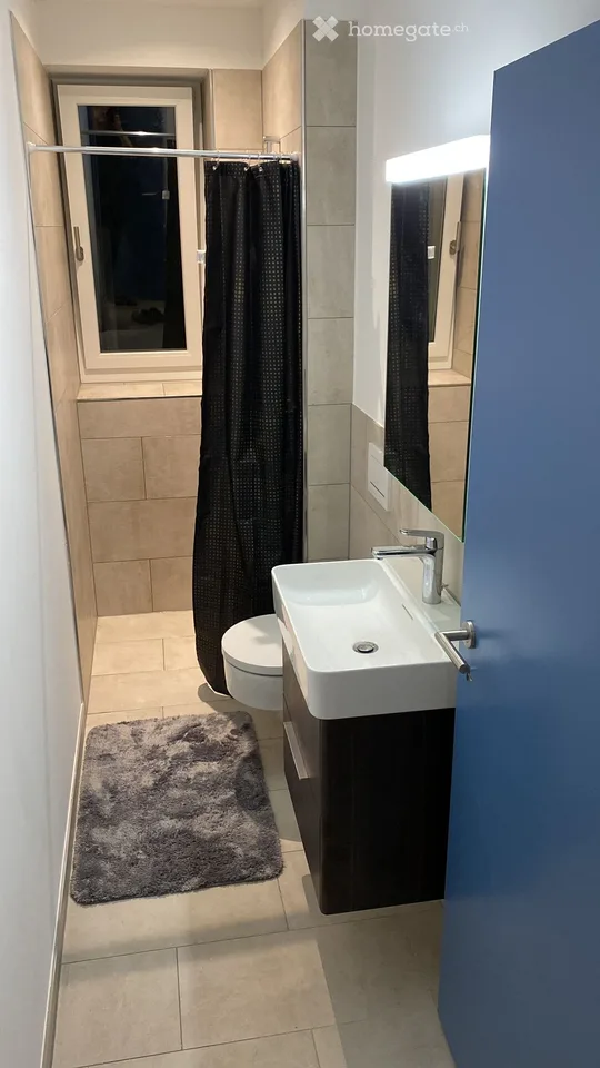 Studio 1 Bedroom Apartment