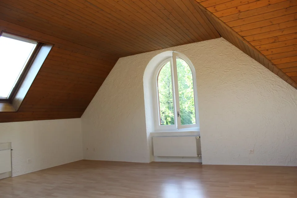 Appartement mansardé charmant