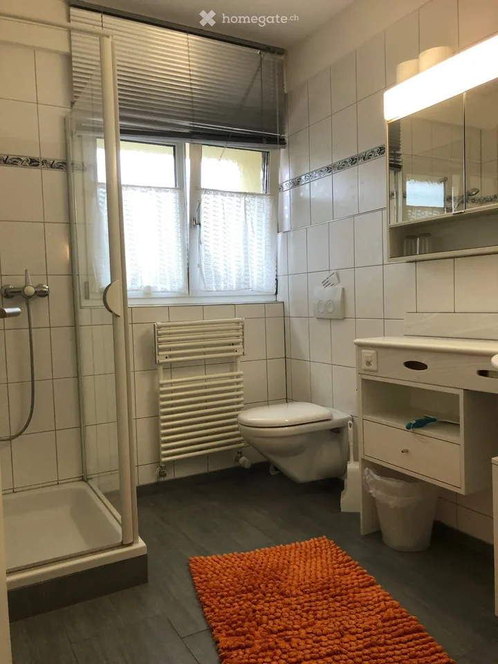 moderne, möblierte Wohnung auf dem Seerücken, sehr ruhig