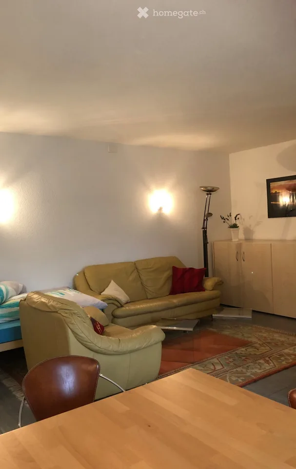 moderne, möblierte Wohnung auf dem Seerücken, sehr ruhig