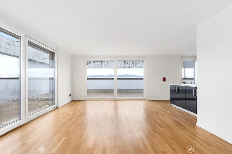 4.5 Zimmer Attika-Wohnung mit Panoramablick