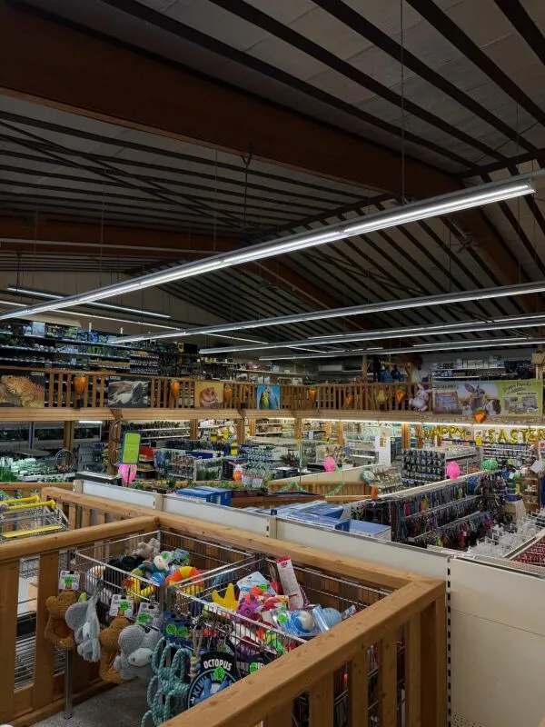 800 m2 d'espace de vente ou commercial dans la zone industrielle de Dietikon