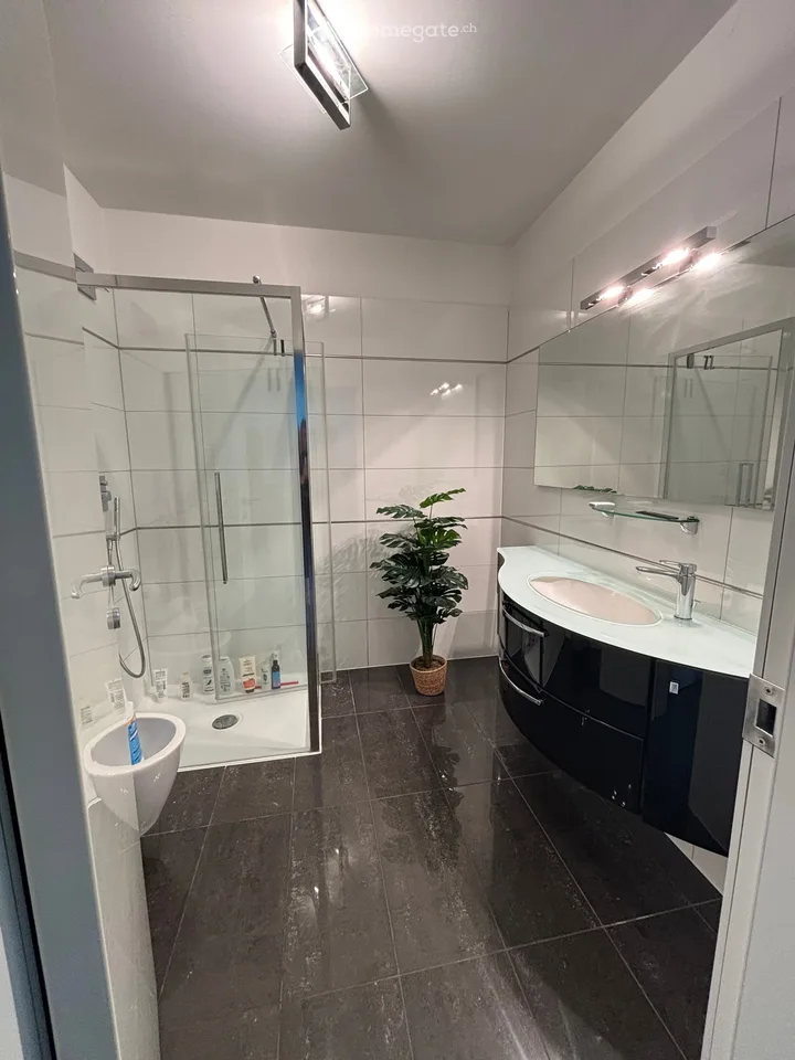 Schönes "Chic" Apartment - 2.5 möbliert in PARADISO mit Seeblick und Blick auf den Luganer Golf
