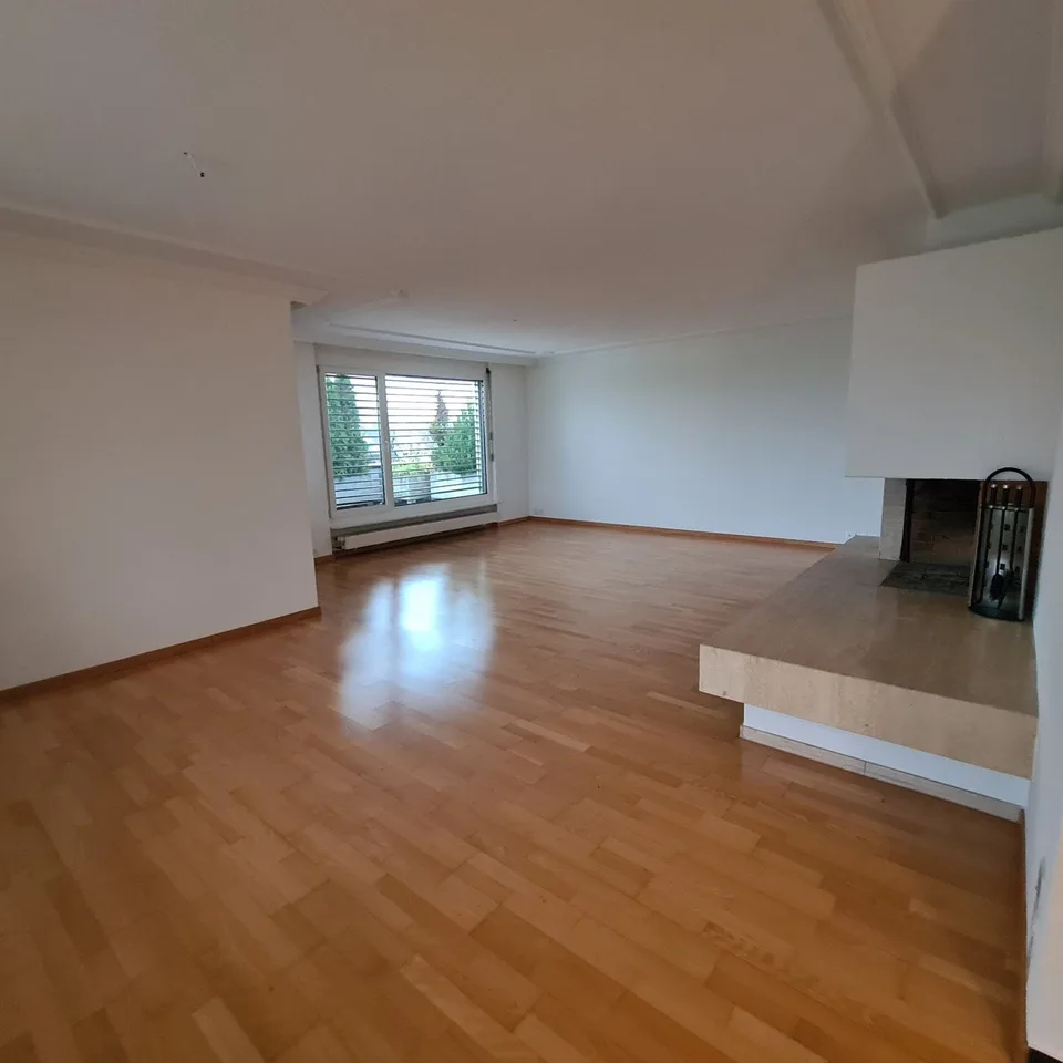 Attic apartment with large roof terrace and breathtaking views