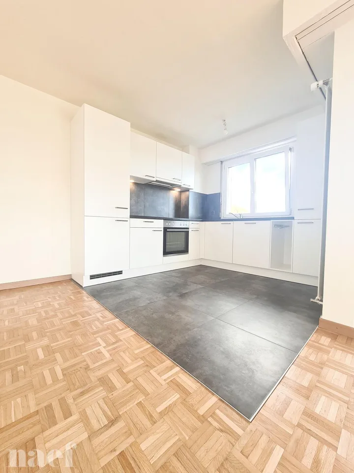 Appartement de 3 pièces avec vue sur le lac