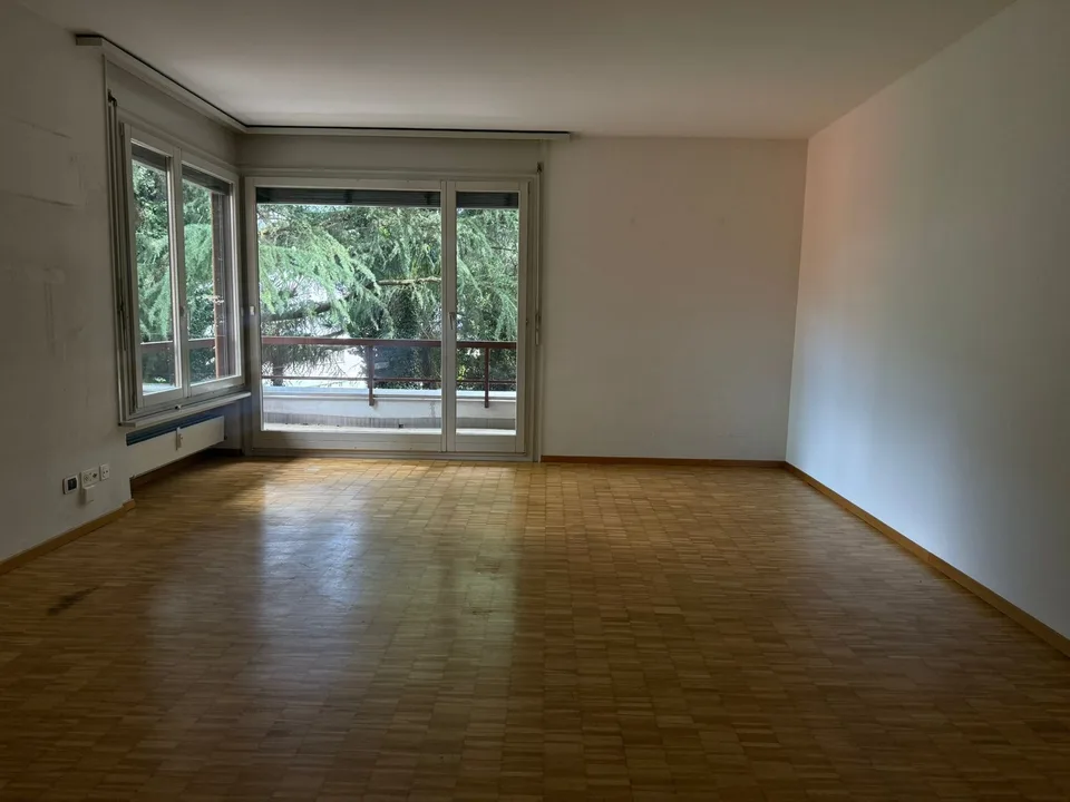 Disponible immédiatement - fraîchement peint, grand, spacieux appartement 4,5 pièces avec 3 grands balcons – photo 7 sur 26