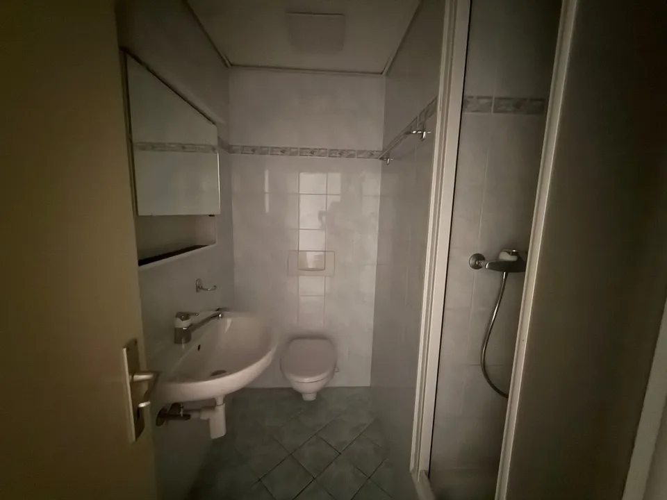 Disponible immédiatement - fraîchement peint, grand, spacieux appartement 4,5 pièces avec 3 grands balcons – photo 18 sur 26
