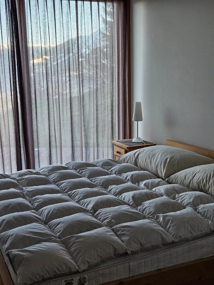 Appartamento esclusivo di 2,5 locali al piano terra con terrazza a Fidaz/Flims