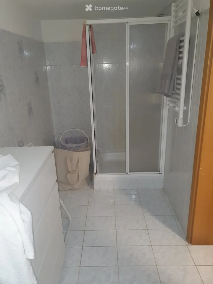 Möbliertes Apartment zur Miete. 2.5 Zimmer