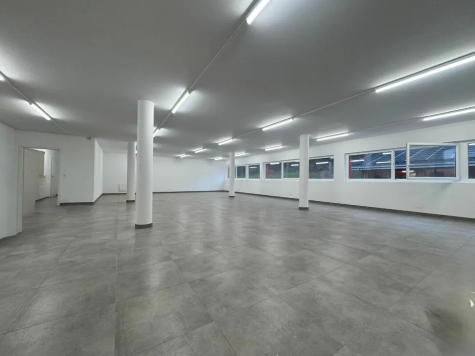 Atelier/Espace expo 1.5 pièces 156.35 m2 à Puidoux-Gare