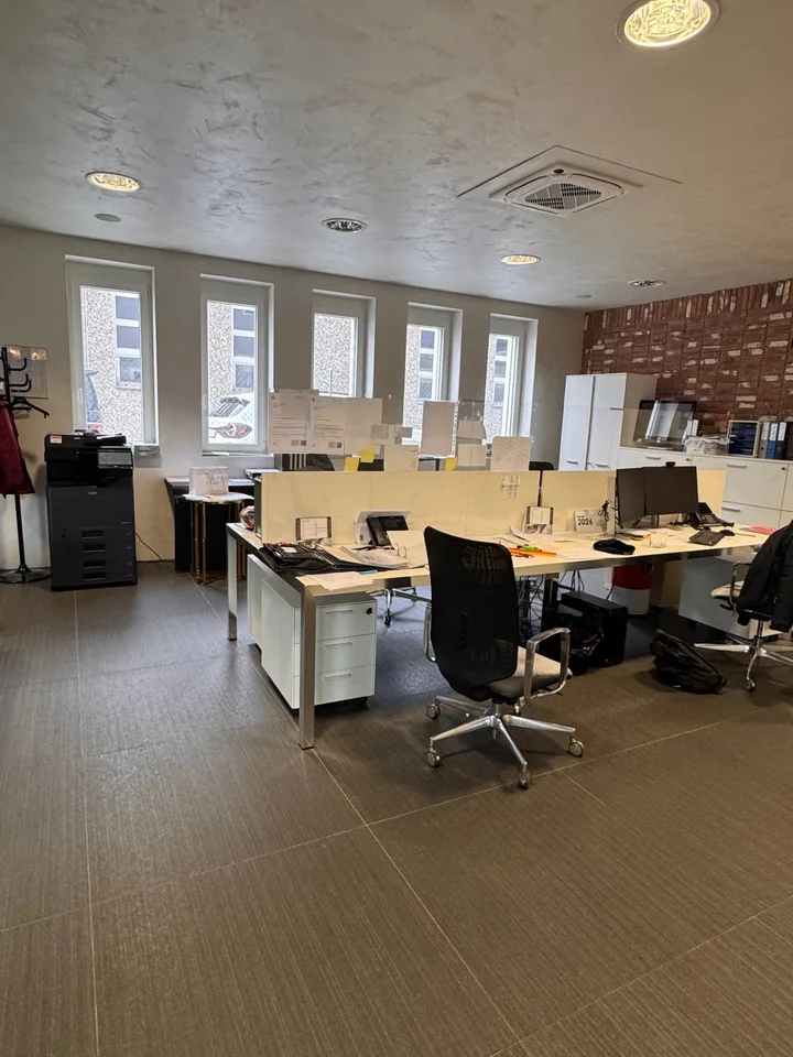 Large commercial space with 7 parking spaces for rent – photo 11 of 13