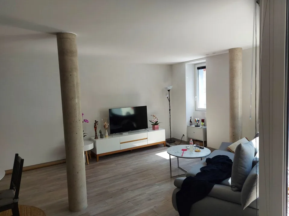2.5 room duplex apartment