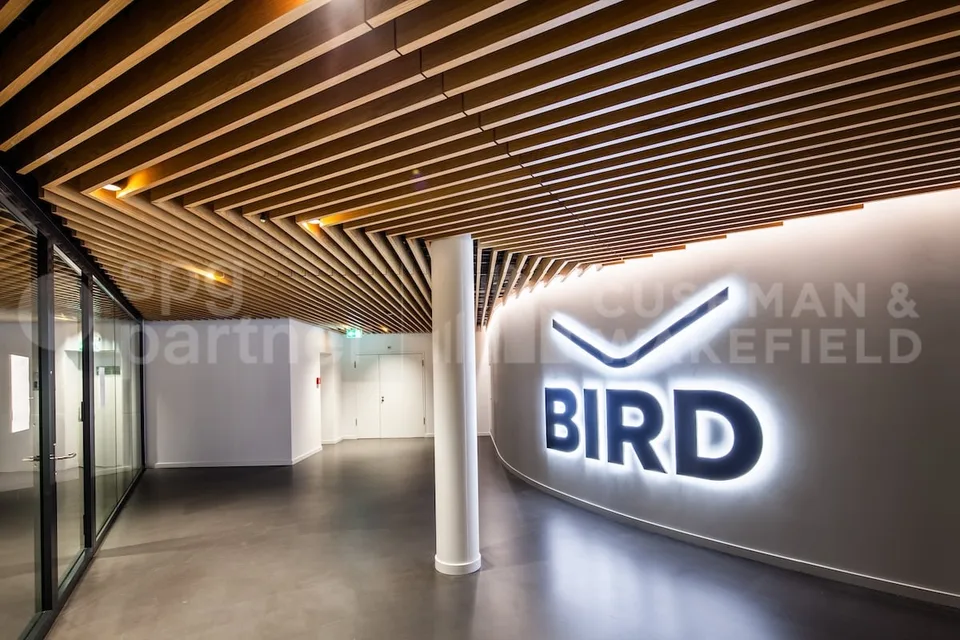 BIRD