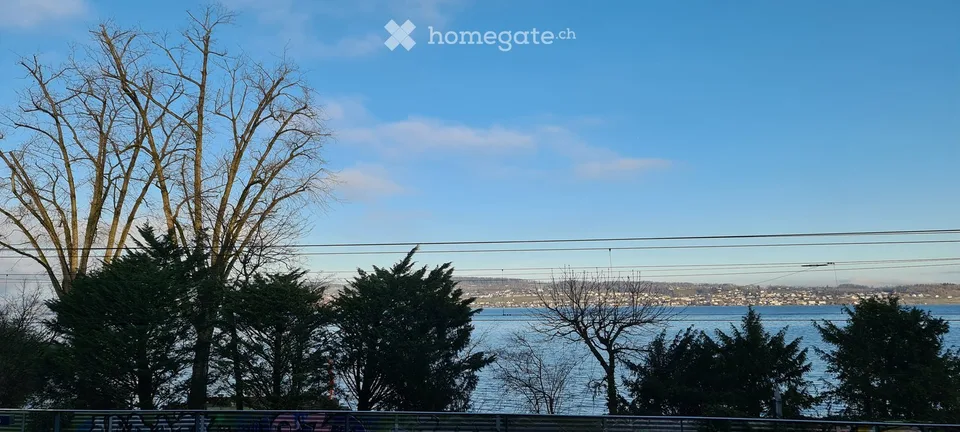 Repräsentatives Loft mit Seeblick im steuergünstigen Freienbach direkt am SBB Bahnhof