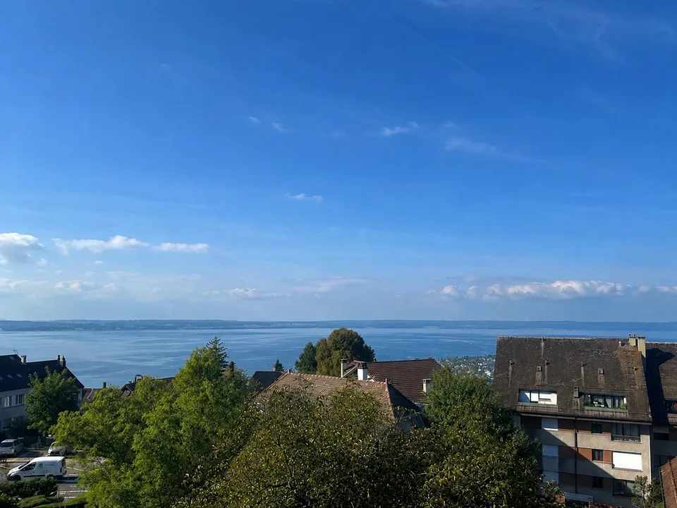 Appartement d'exception avec vue panoramique sur le lac !
