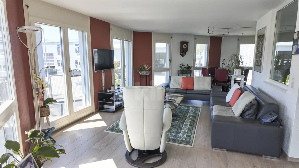 Wohnung und professionelles Atelier in Industriezone