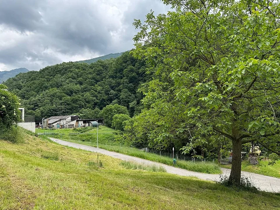 Terreno edificabile per casa unifamiliare