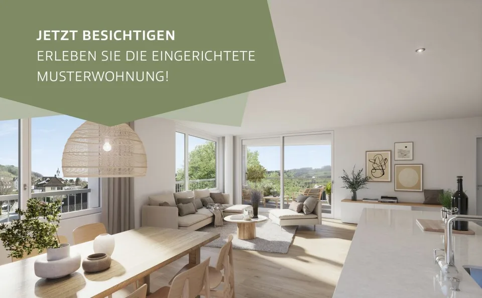 2.5-Zi-Wohnung Murhubel Triengen