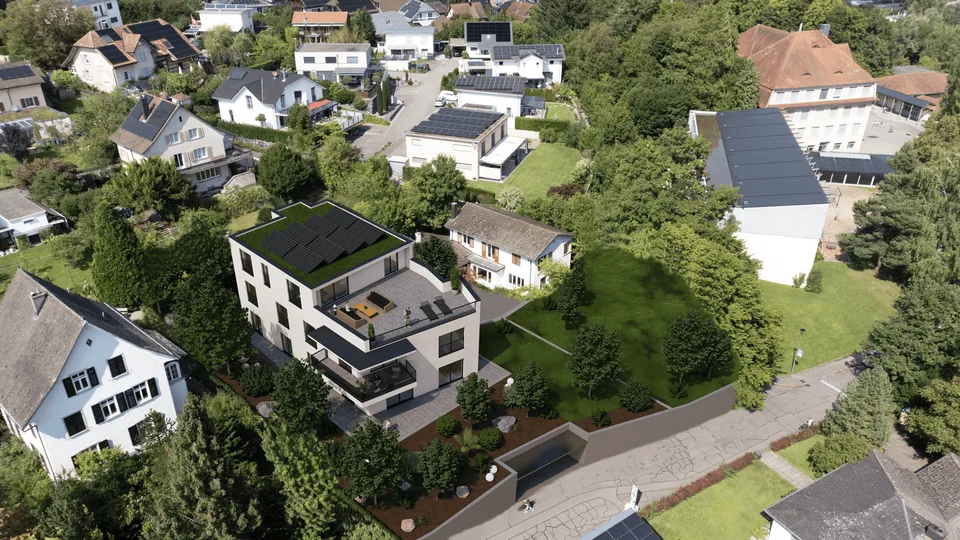 Modern New Apartments
