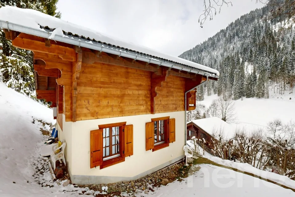 Exclusive: 4-Bedroom Chalet with Garage – photo 14 of 21