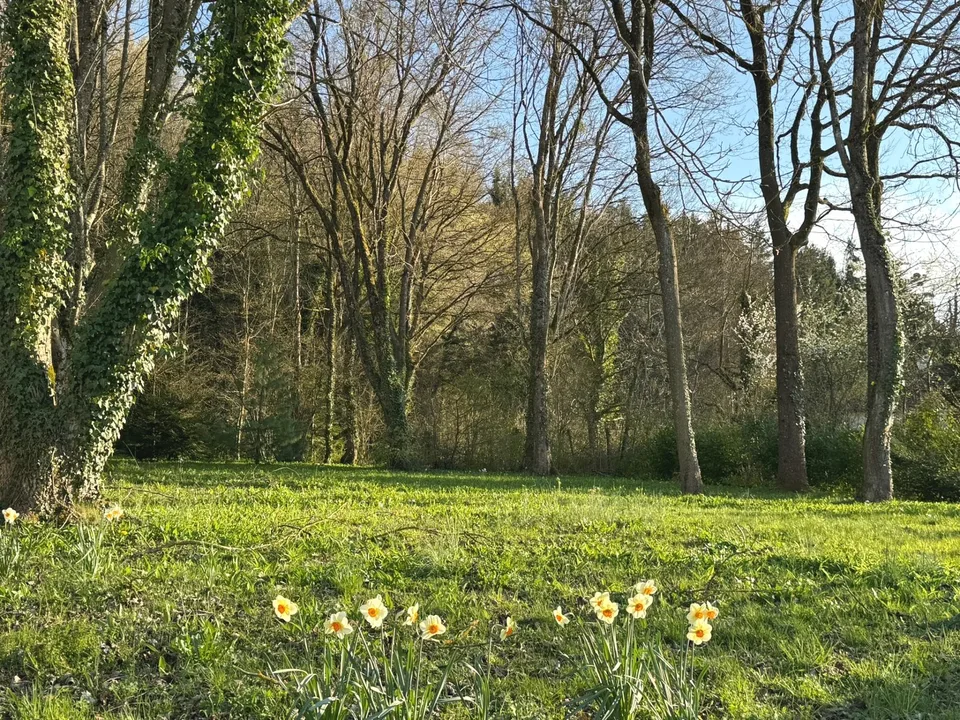 Casa dell'Architetto di 218 m² in un'oasi di verde