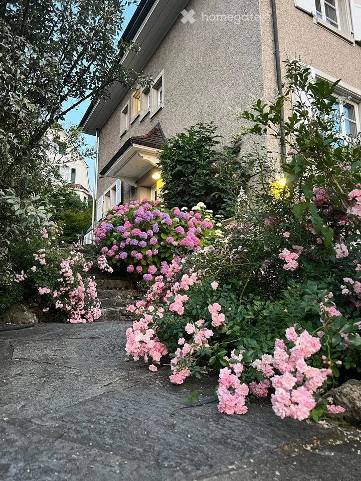 Exclusive 8.5-room villa with pool in Bottmingen at top location