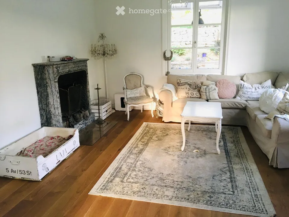 Exclusive 8.5-room villa with pool in Bottmingen at top location