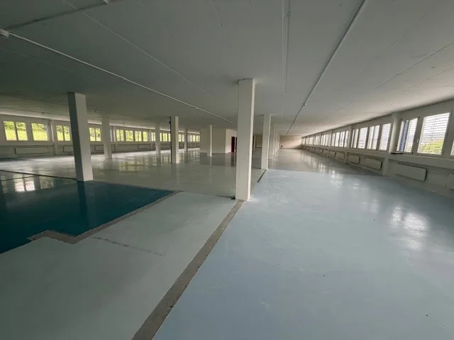 Chemin de la Combeta 3-5 - Bello edificio rappresentativo per uffici, artigianato, industria leggera – foto 6 di 8