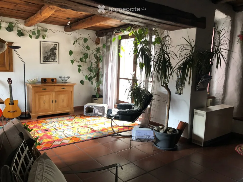 Prächtige 5.5-Zimmer-Wohnung in Losone