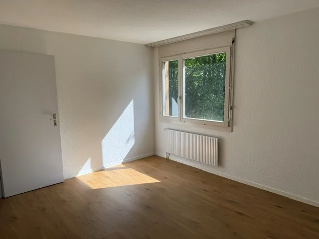 Bright 3-room apartment with balcony in Zollbrück – photo 8 of 13