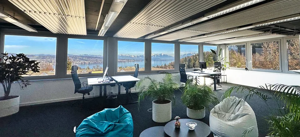 Moderne Bürofläche in Wädenswil zu vermieten