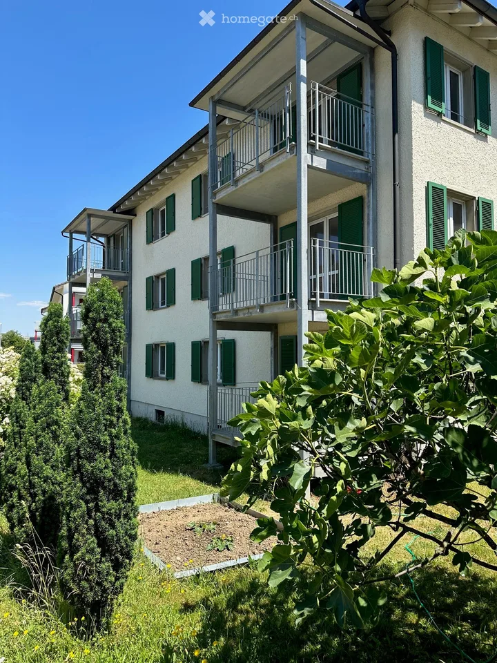 Affitto a Buchthalen dopo ristrutturazione totale