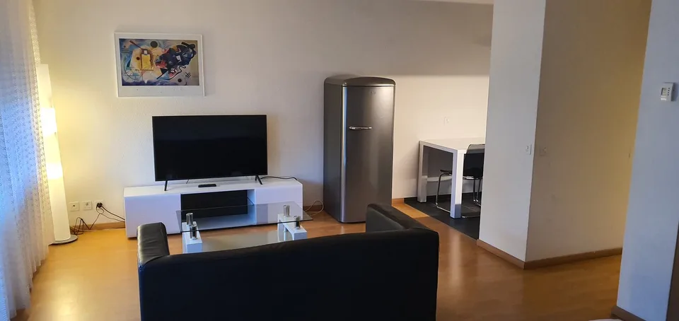 Appartement meublé 1 pièce au cœur de Bienne