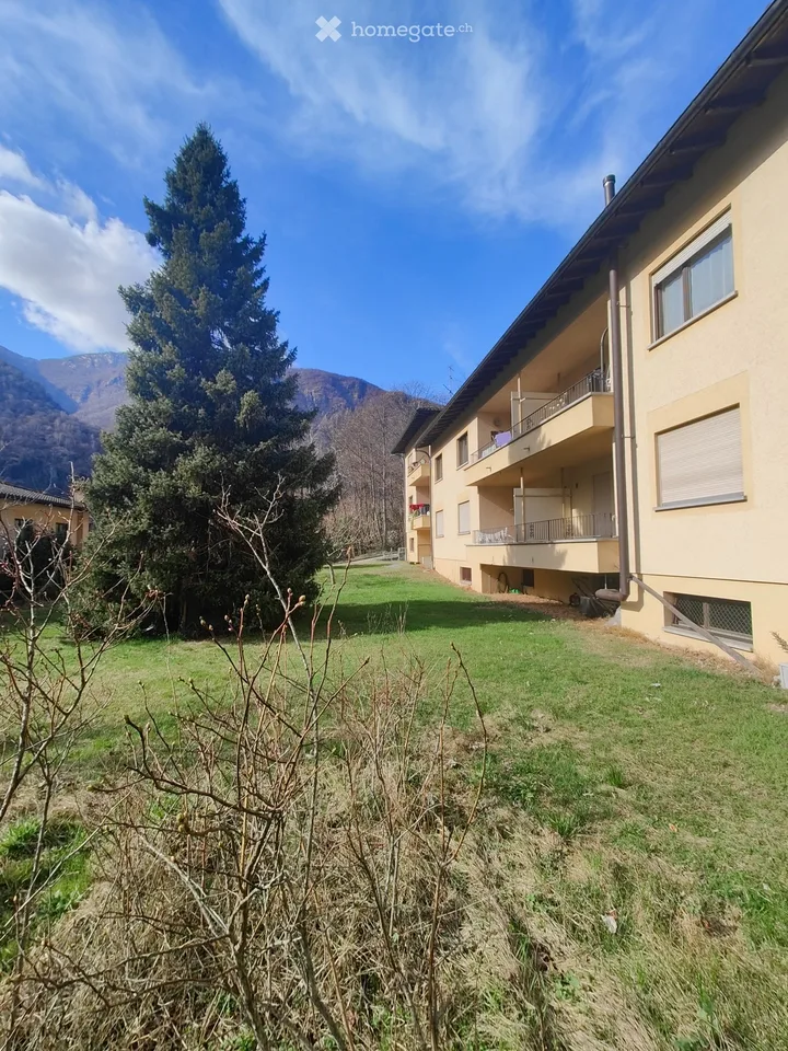 Appartamento nel verde a soli 5 minuti da Locarno