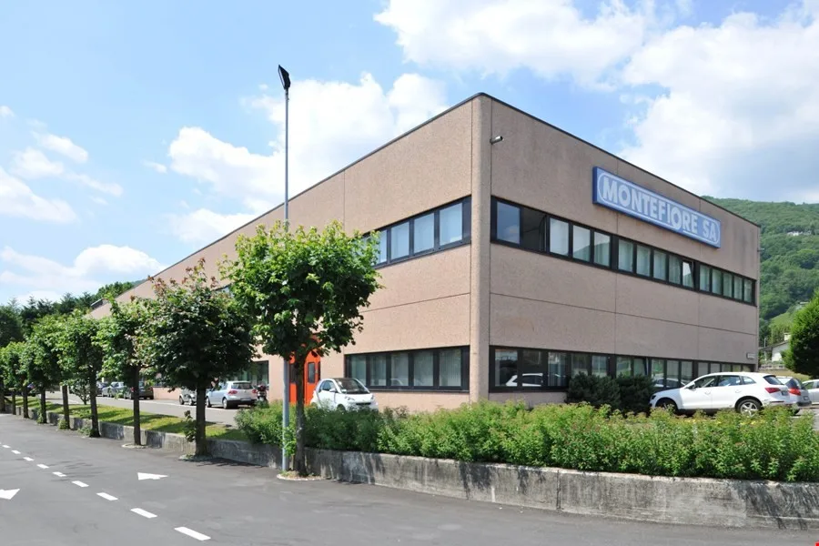 LUGANO NORD/BIOGGIO - BUREAU LUMINEUX DE 140 M² À LOUER (REF. 003) – photo 8 sur 14