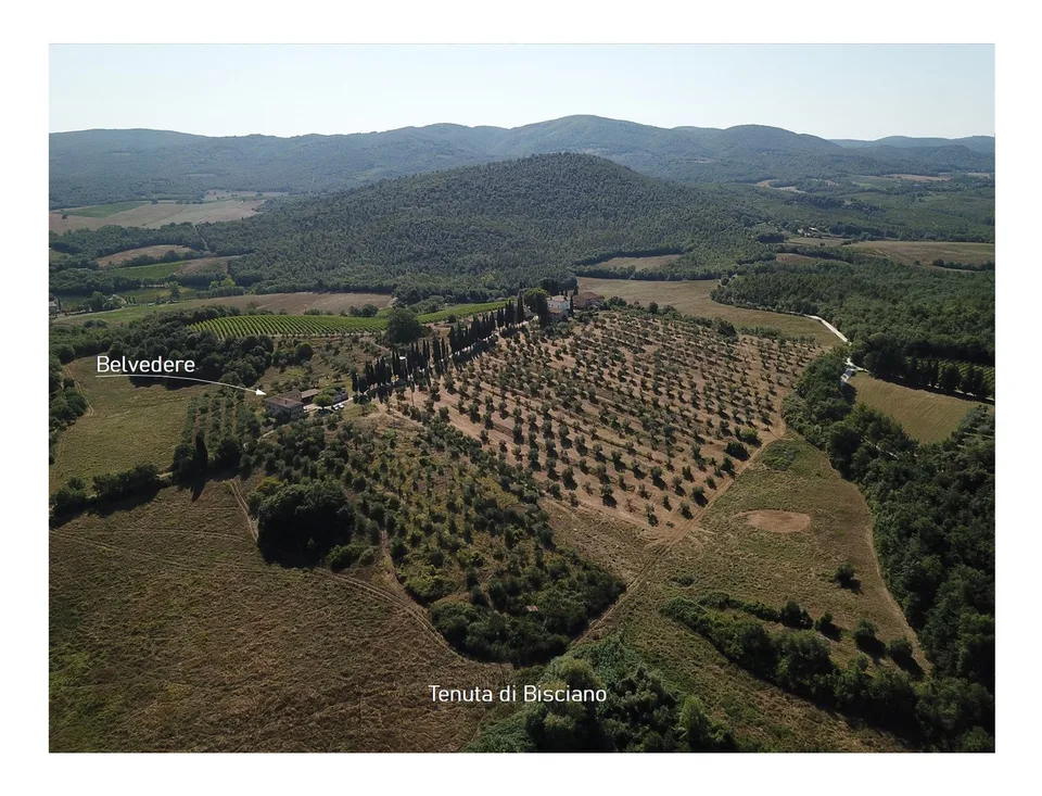 Appartamento da sogno nel cuore della Toscana in affitto