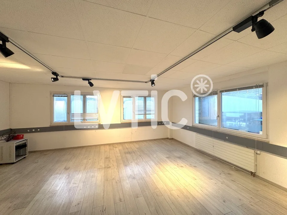 Laboratorio, deposito, uffici di 1500 m2 divisibili in affitto a Villeneuve