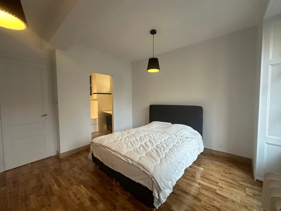 Helles 5.5-Zimmer-Wohnung zur Miete – Rue de Lausanne, Genf