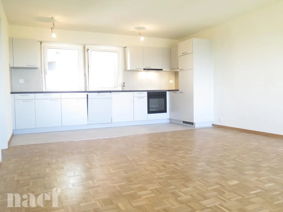 Bel appartement rénové récemment avec magnifique vue sur le lac.