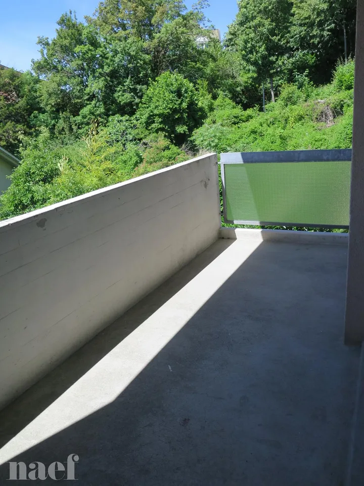 Bello appartamento recentemente ristrutturato con magnifica vista sul lago
