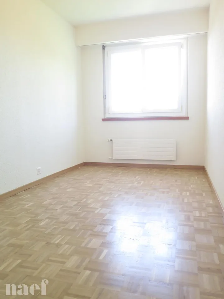 Bello appartamento recentemente ristrutturato con magnifica vista sul lago
