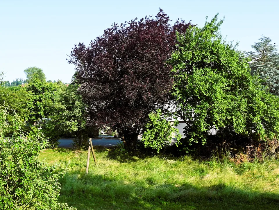 4.5 Zimmerwohnung an ruhiger Lage