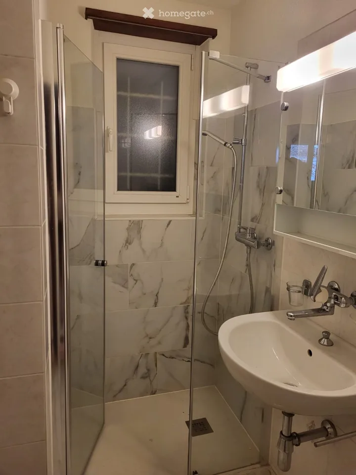 Sublet 2.5-room apartment in Pregassona