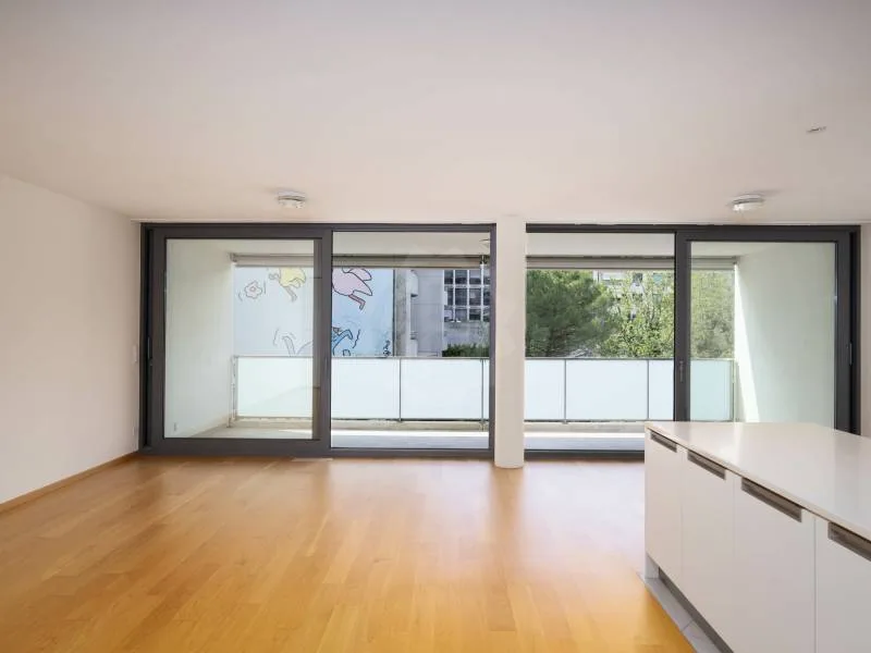 Magnifique appartement - Carouge GE