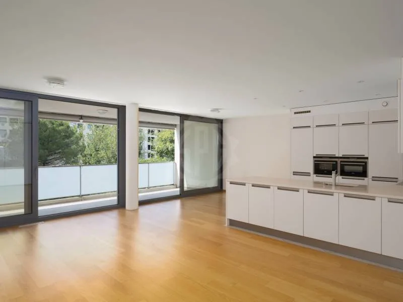 Magnifique appartement - Carouge GE