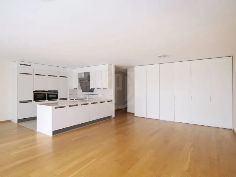 Magnifique appartement - Carouge GE