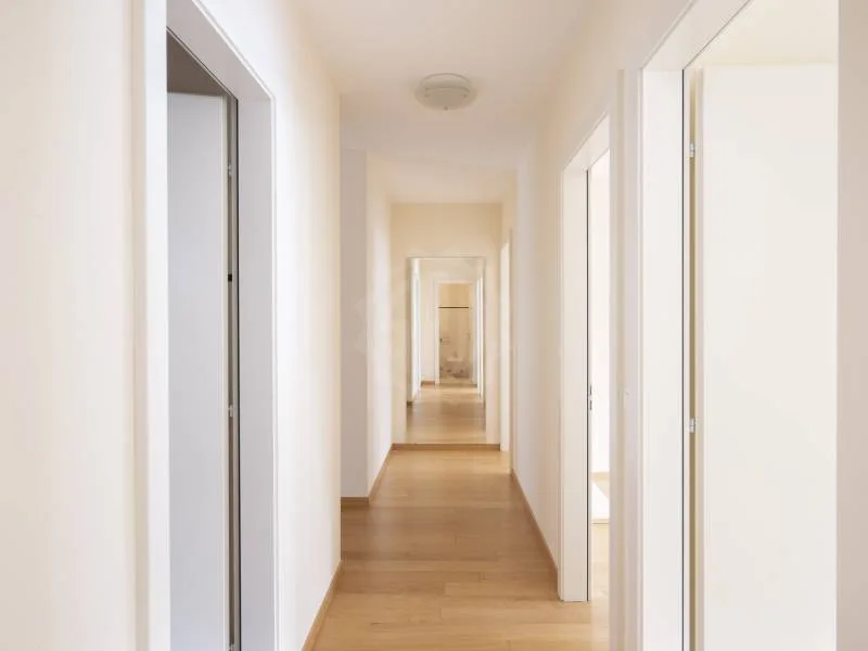5 Zimmer Wohnung in Carouge GE – Foto 9 von 12