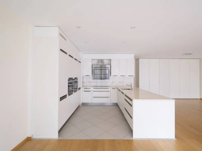 Magnifique appartement - Carouge GE